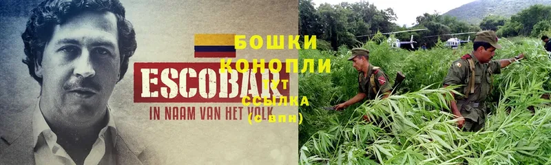 наркота  Балей  МАРИХУАНА LSD WEED 